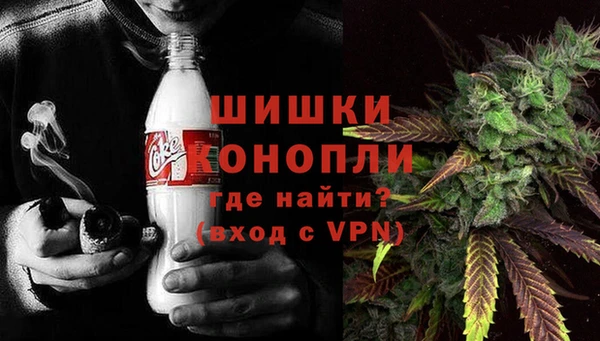 эйфоретик Белокуриха