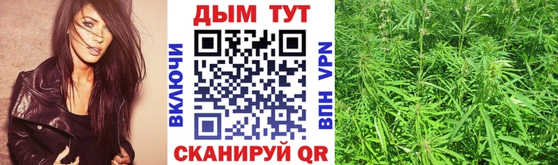 Конопля VHQ Острогожск